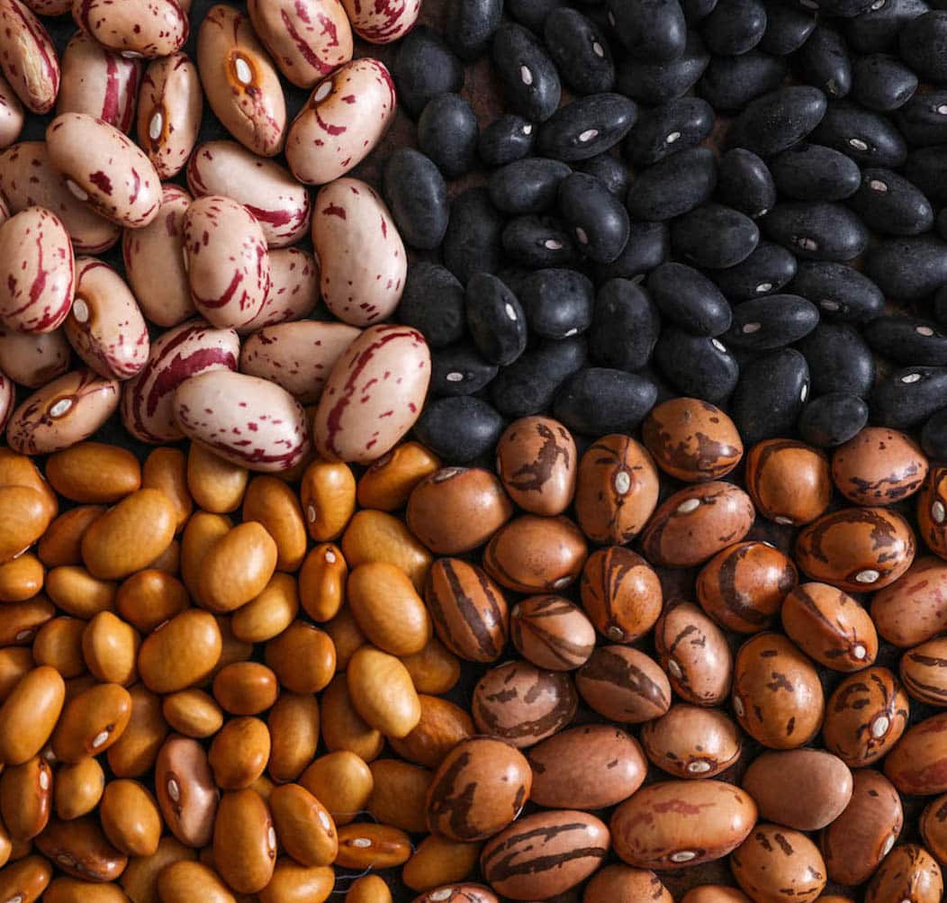 Beans